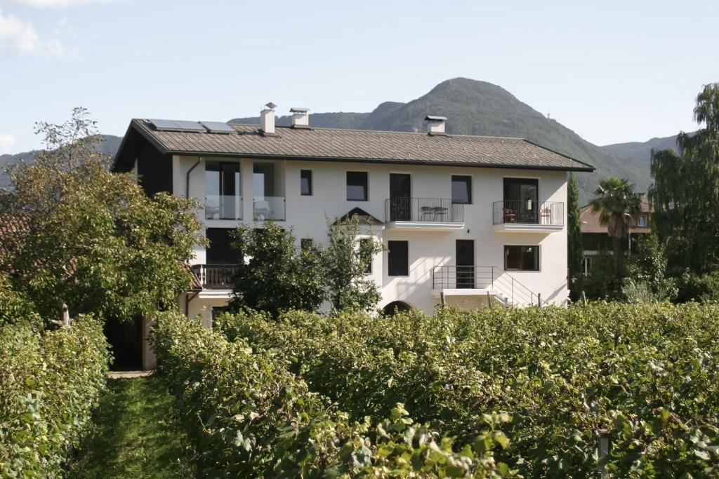 a house in the middle of a vineyard at Kaiserau-Höfl in Bolzano