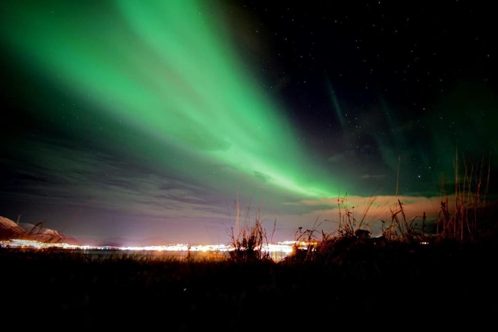 an image of the northern lights in the sky at New apartment near the sea in Krokelvdalen