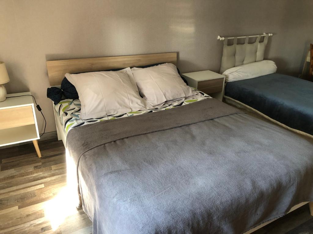 1 dormitorio con 2 camas en una habitación en Les hortensias, en Grand-Fougeray