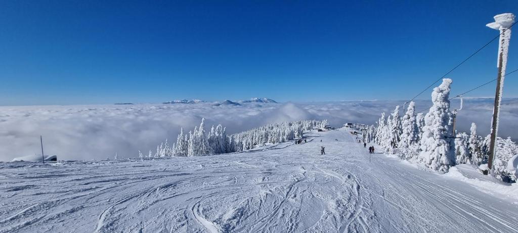 una pista de esquí cubierta de nieve con gente esquiando por ella en Kope, Jagoda 8 - Studio 2, en Slovenj Gradec