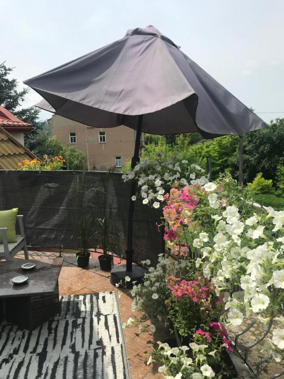 Apartament Mickiewicza - 7