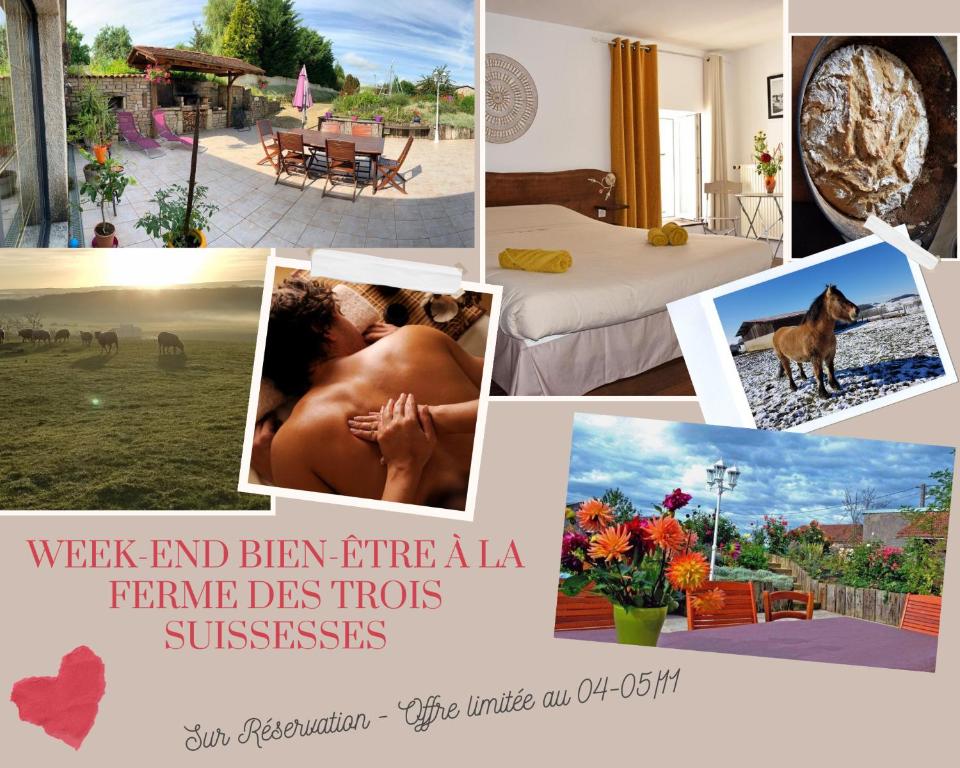 a collage of pictures of a resort with a dog at La Ferme des 3 Suissesses in Saint-Paul