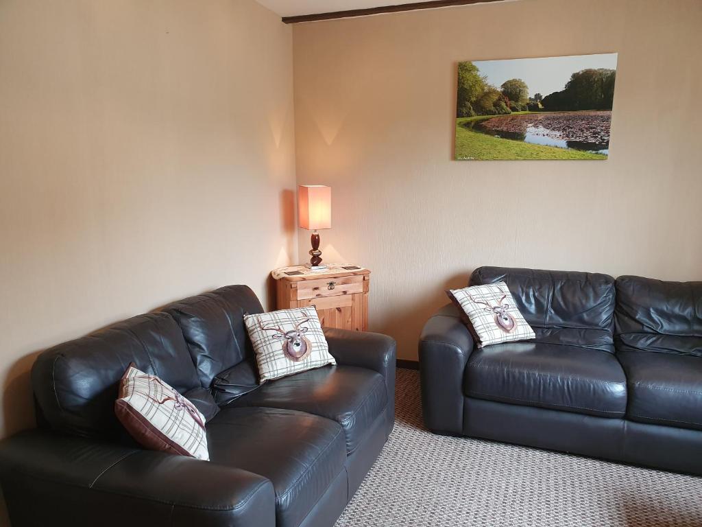 a living room with two leather couches and a lamp at Ash Cottage in Stranraer
