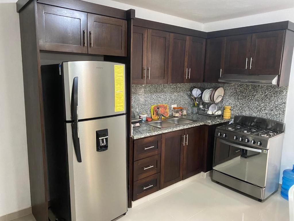 eine Küche mit Holzschränken und einem Kühlschrank aus Edelstahl in der Unterkunft Edificio Alendyx in Dajabón
