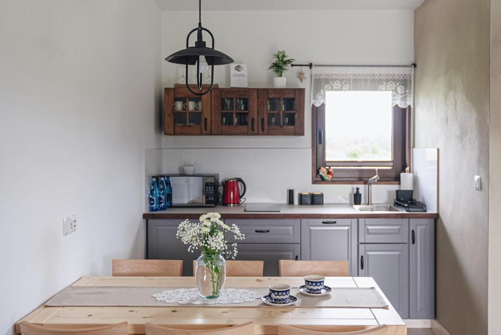 Kuchyňa alebo kuchynka v ubytovaní Apartamenty Przystanek Grapa