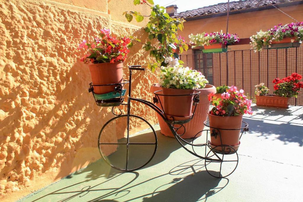 Zahrada ubytování La Terrazza Di Montepulciano