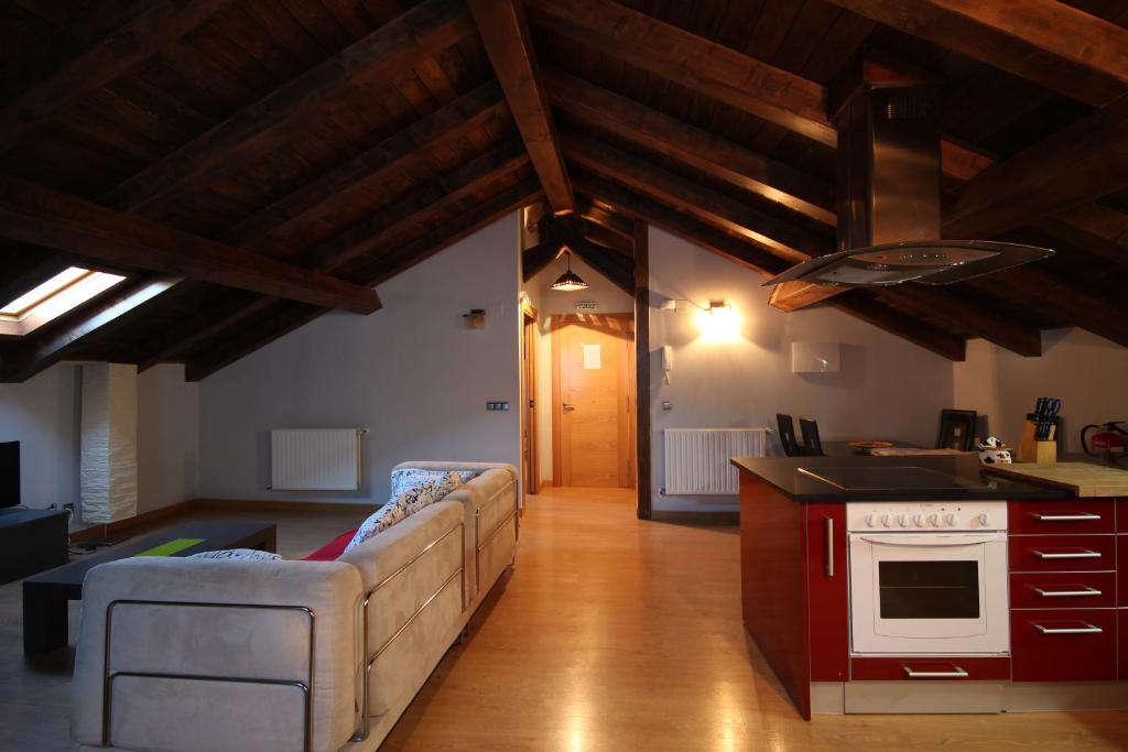 Kuchyň nebo kuchyňský kout v ubytování Aiestaenea Apartamentos Rurales