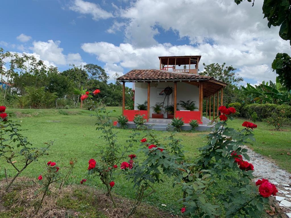 a small gazebo in a field of red roses at Finca Monte del Sol in Quimbaya