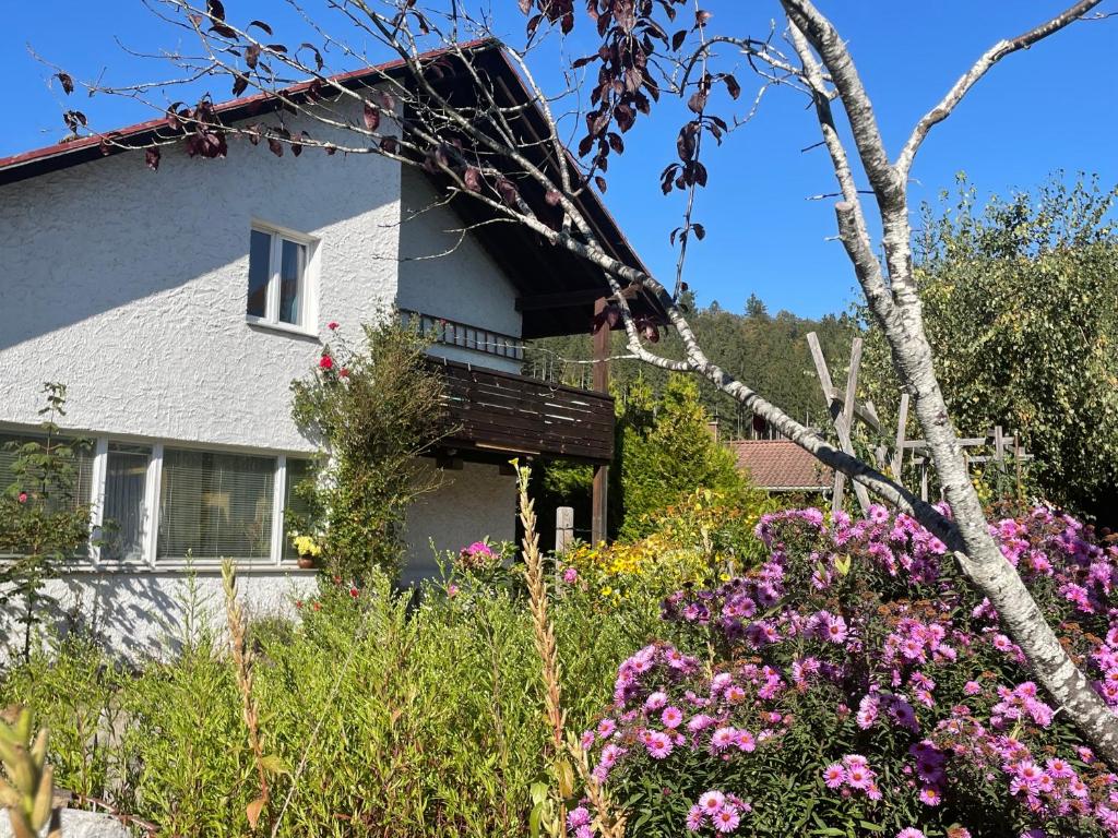 a house with flowers in front of it at Am Birkenhain in Titisee-Neustadt