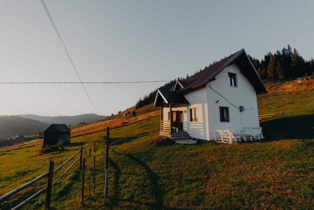 a small white house on a hill in a field at Pleta View in Vatra Dornei