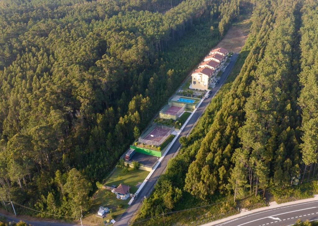 Príroda v okolí apartmánu