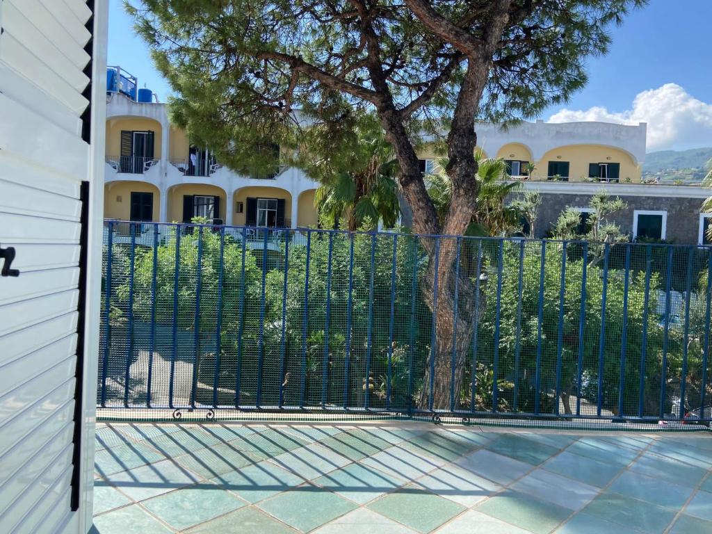 a fence with a tree in front of a house at Casa di Sole Ischia in Ischia