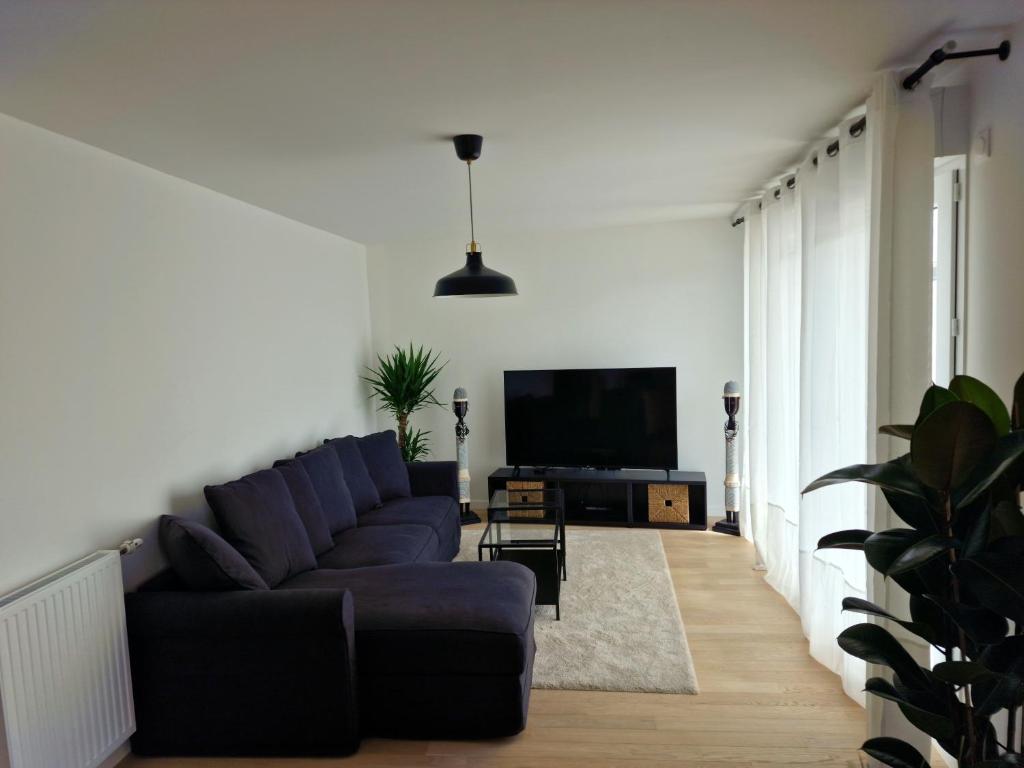 a living room with a couch and a tv at Magnifique appartement sur la seine in Alfortville