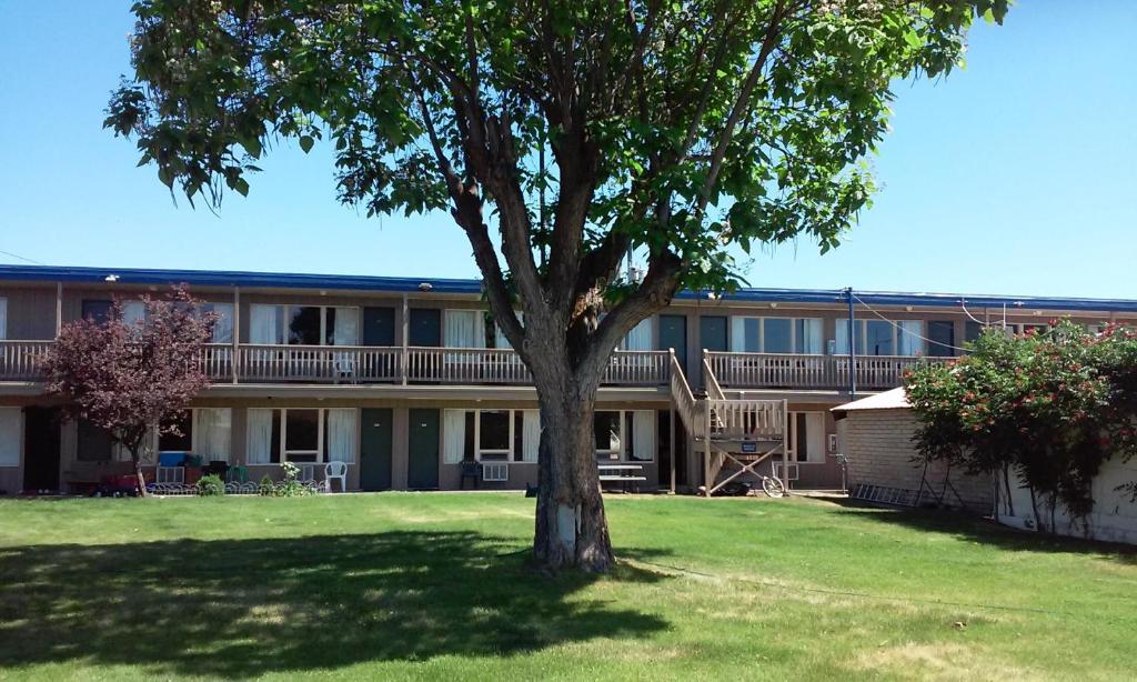 een appartementencomplex met een boom in de tuin bij Motel Oasis in Moses Lake