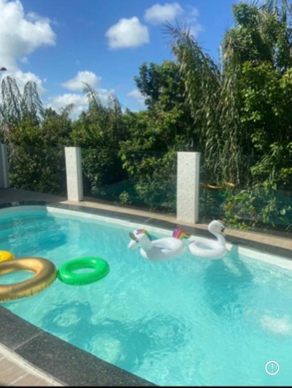 two swans and frisbees in a swimming pool at Pousada jardim imbassay in Mata de Sao Joao
