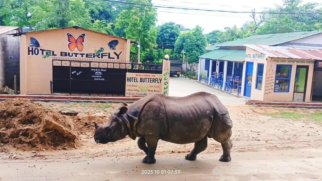 a statue of a rhino walking down a dirt road at Hotel Butterfly , Sauraha , Chitwan in Sauraha