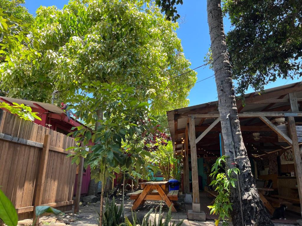 Zahrada ubytování Banana Bungalow Maui Hostel