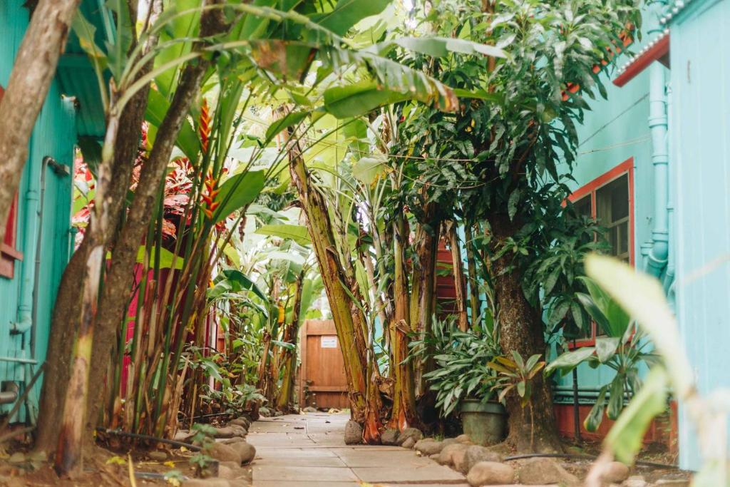 Zahrada ubytování Banana Bungalow Maui Hostel