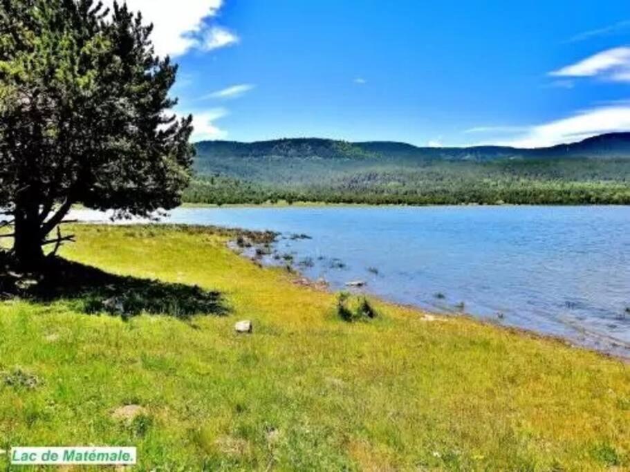 Příroda nedaleko apartmánu