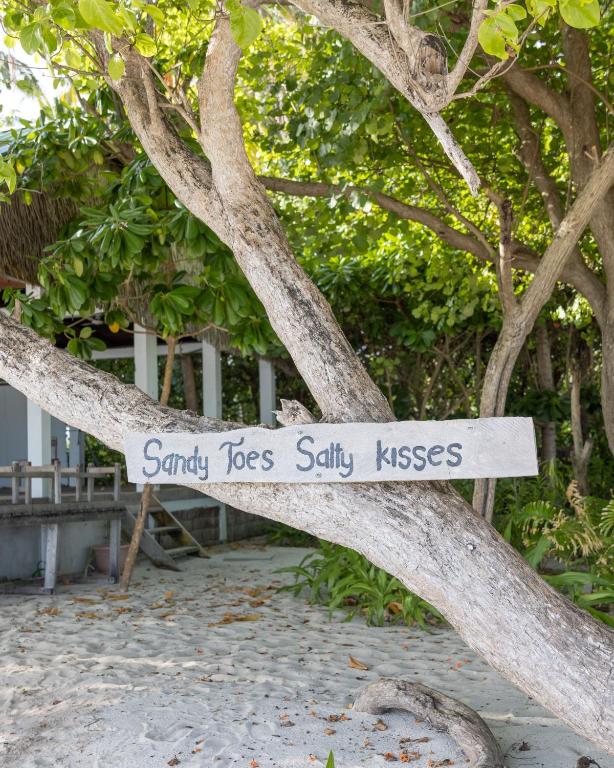 Fotografie z fotogalerie ubytování Kamadhoo Inn v destinaci Baa Atoll