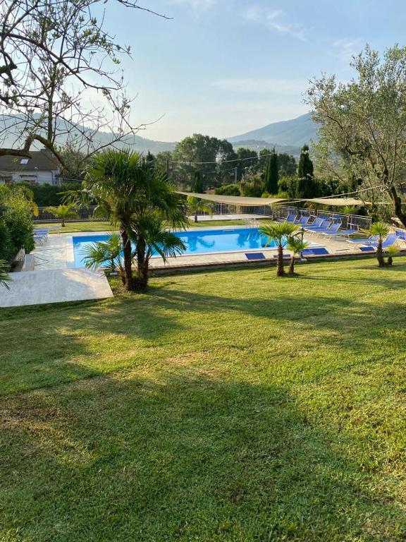 a swimming pool with palm trees in a yard at DOLCE DORMIRE in Albanella