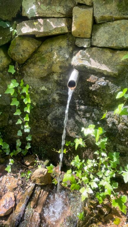 Zahrada ubytování Casa Rural para descansar piscina cerca