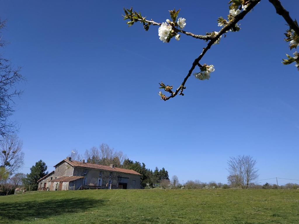 an old house in a field with a tree at Maison au calme avec vue étang in Clessé