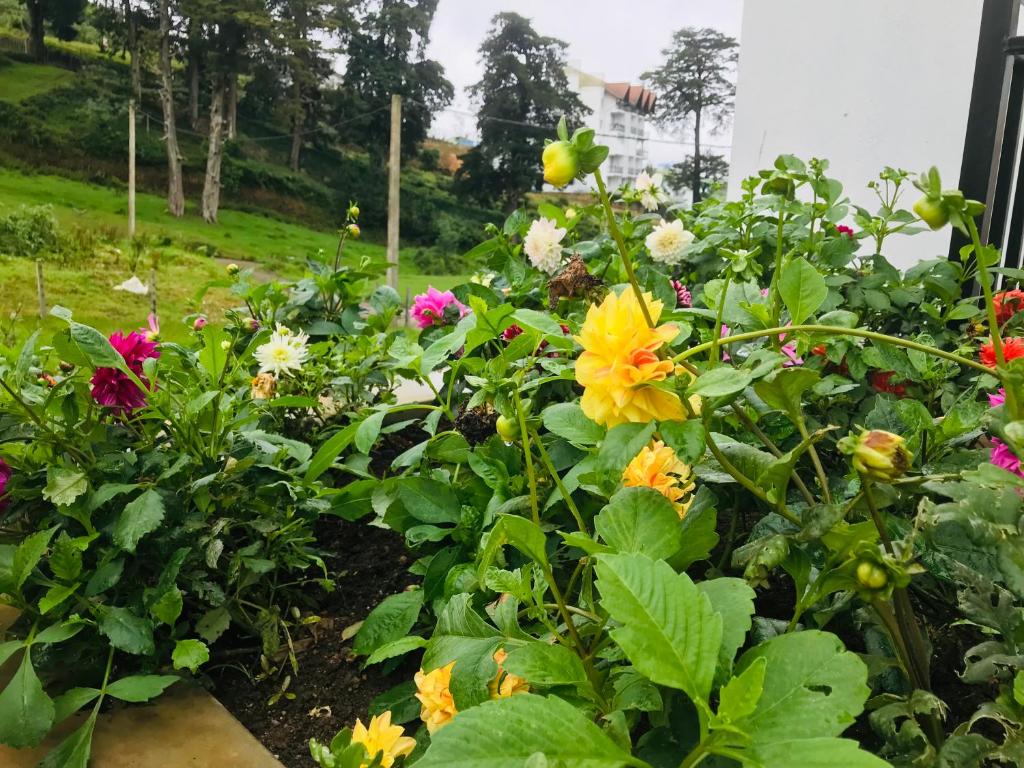 Queensland Hotel - 3