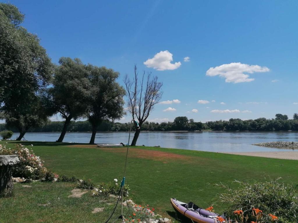 łodzi siedzącej na trawie obok rzeki w obiekcie Kuća za odmor Dunavski raj w mieście Batina