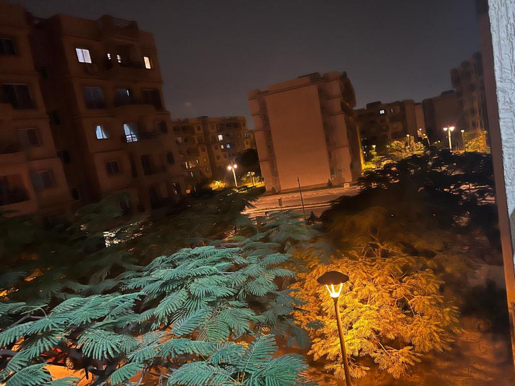 eine große Gruppe von Bäumen in einer Stadt in der Nacht in der Unterkunft Vellar in Madinaty