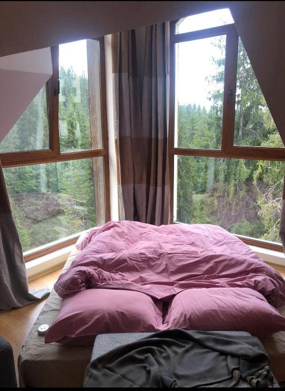 Cozy Studio at The Castle - Pamporovo