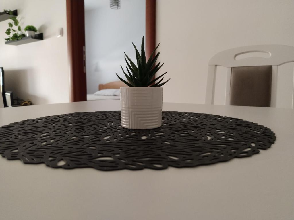 une plante en pot assise sur une table avec un tapis noir dans l'établissement Apartman Sunce, à Požarevac