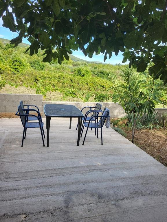 Příroda nedaleko apartmánu