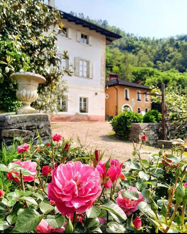 a garden with pink flowers in front of a building at Agritur Cantina Romanese in Levico Terme