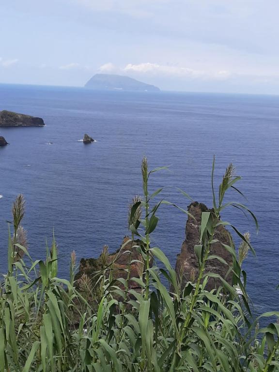 Blick auf den Ozean von einer Klippe in der Unterkunft Casa vicente in Santa Cruz das Flores