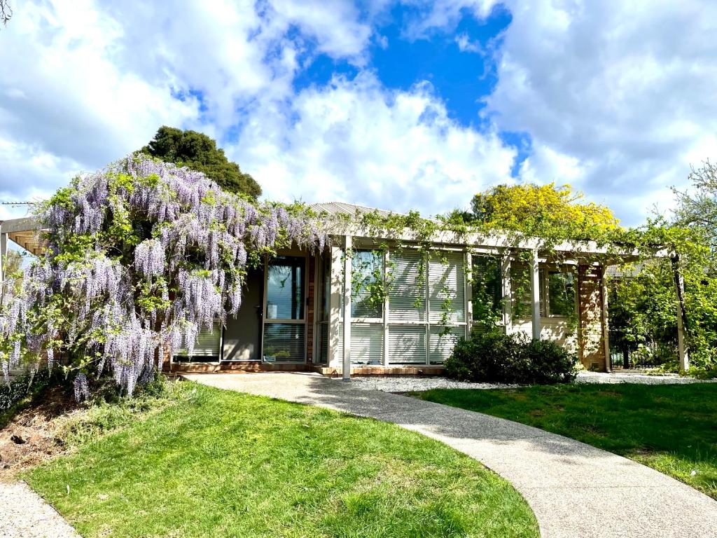 a house with a wisteria tree in front of it at Yarra Gem in Yarra Glen