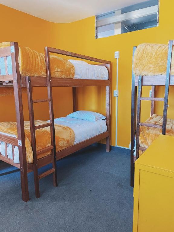Lobo Hostel La Pazにあるベッド