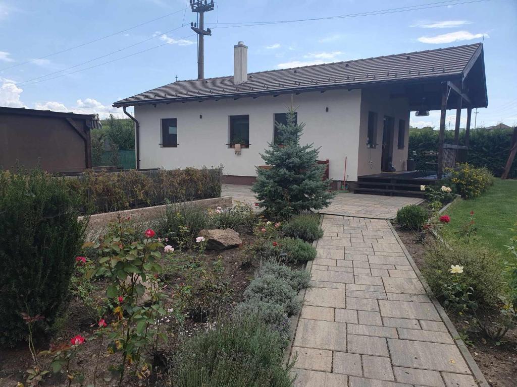 a small white house with a garden in front of it at Aqua Garden in Miercurea-Ciuc