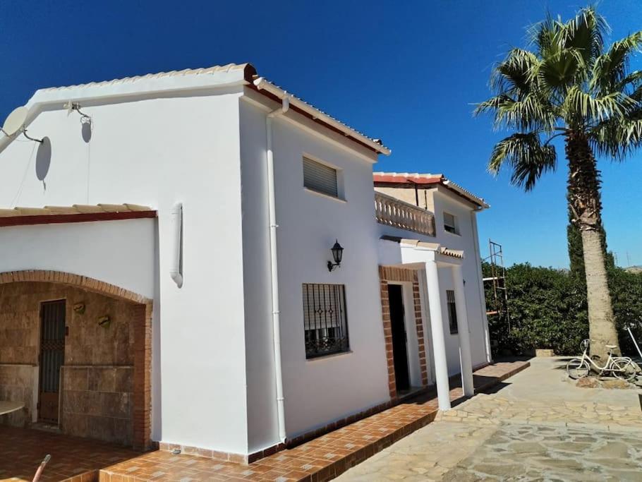 une maison blanche avec un palmier en arrière-plan dans l'établissement Villa La Hojilla relax o trabajo, à Cantoria