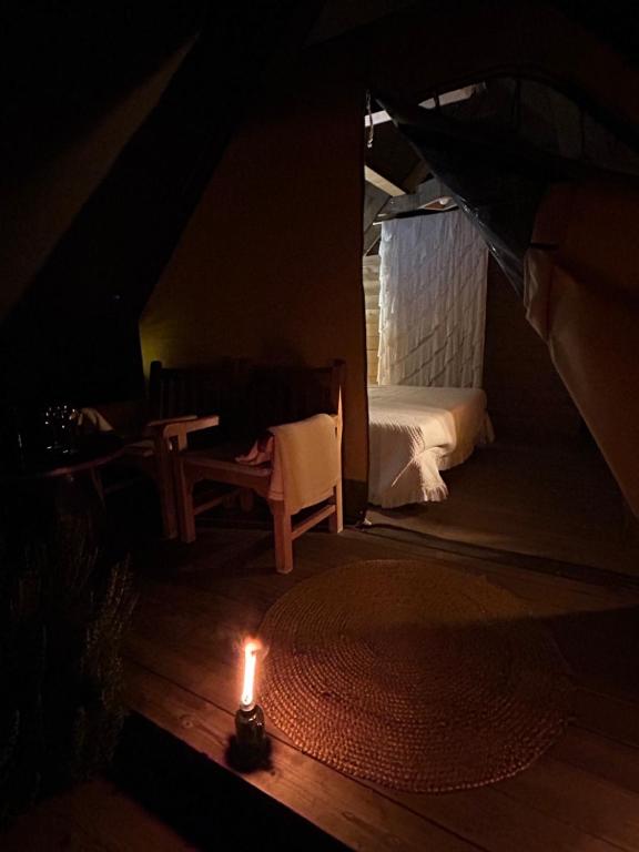 Fotografie z fotogalerie ubytování GLAMPING SUITE IL GRILLO v destinaci Lamporecchio
