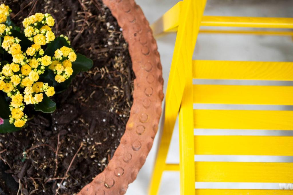 una pentola di fiori gialli accanto a una sedia gialla di Floropounta a Trimiklini