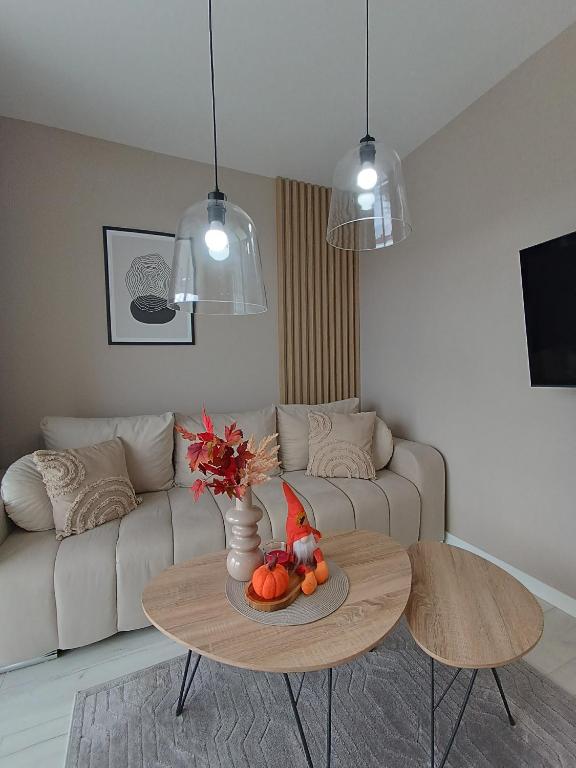 Apartament z 2 sypialniami - Nova Ludova - blisko 2 jezior - 18