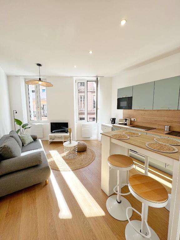 un salon avec un canapé et une cuisine dans l'établissement LE CARREAU DE FALGUIERE - Hypercentre - Gare, à Toulouse