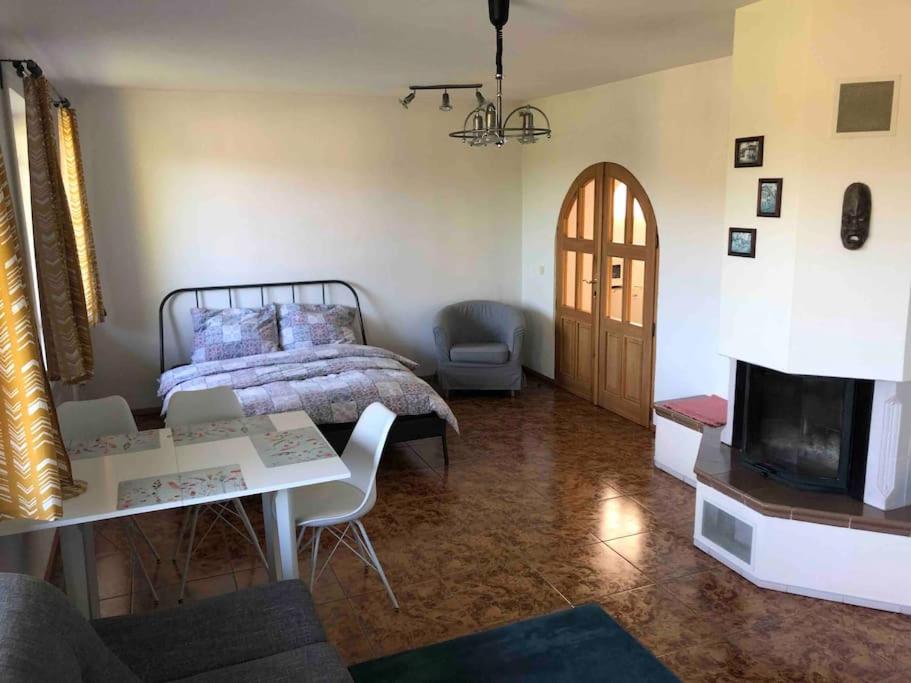 apartm-n-s-terasou-a-zahradou-na-cyklostezce-havlovice-precios