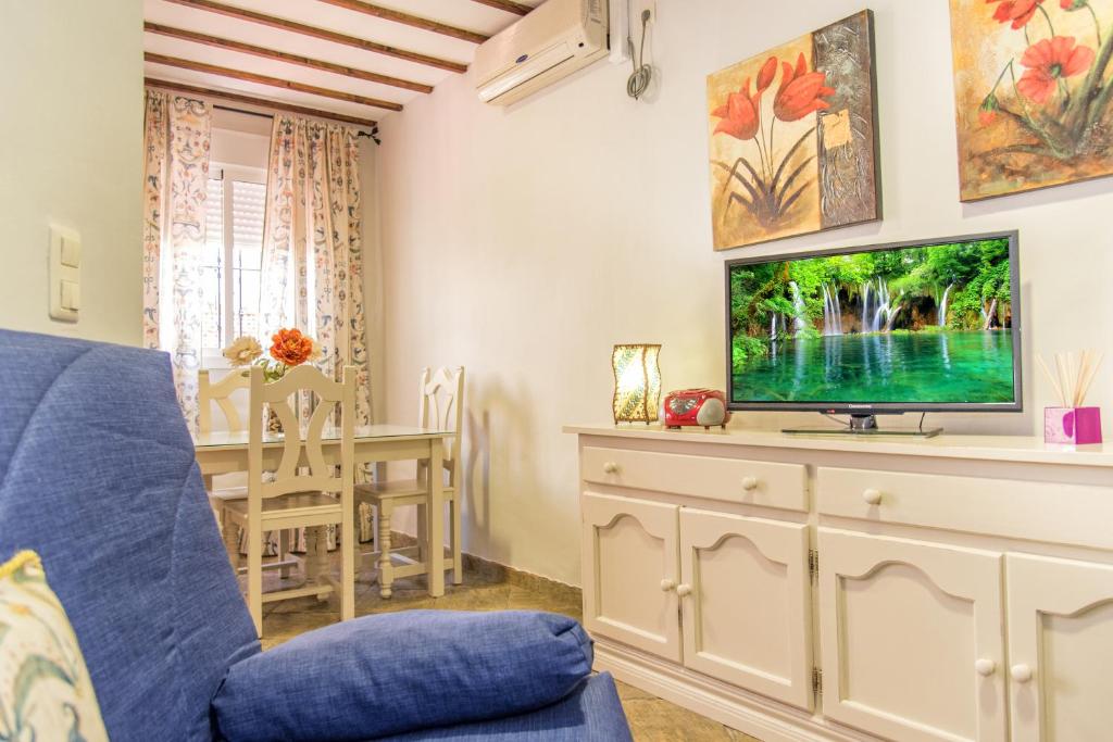 TV a/nebo společenská místnost v ubytování Apartamentos Casamonteymar