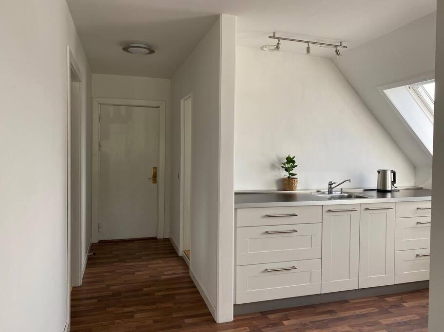 Kuchyň nebo kuchyňský kout v ubytování Renovated apartment