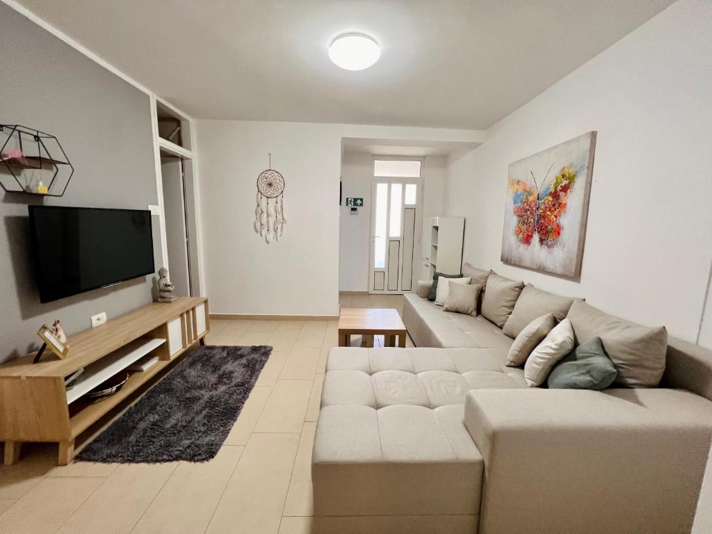 een woonkamer met een bank en een flatscreen-tv bij Apartman Luna *** in Rijeka