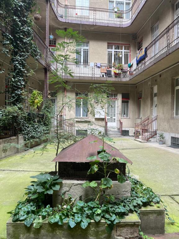 A garden outside Palace district rooms