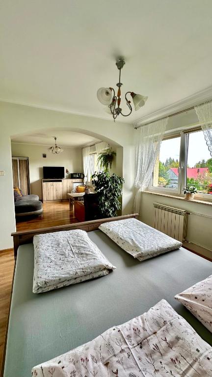 Agroturystyka Pod Modrzewiem - Babia Góra - Camera Quadrupla Con Balcone