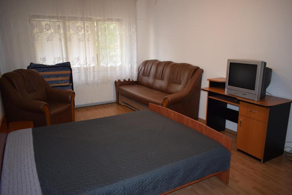 a bedroom with a bed and a tv and a chair at Apartament Modest Traian RHBM in Baia Mare